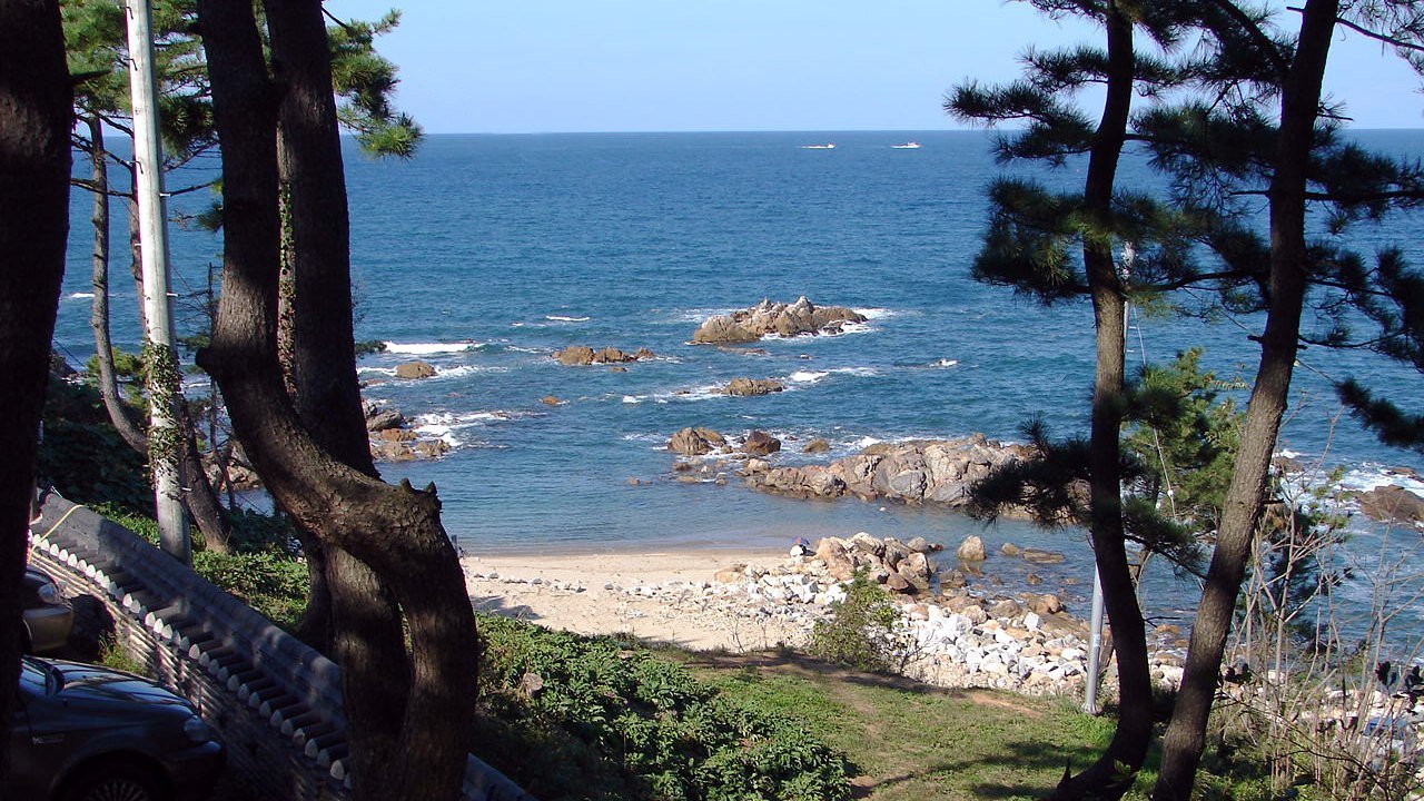 Stand-in, not a photo of this event: pine trunks and branches frame a calm blue sea with rocky outcrops and a small sandy beach below, a few small boats on the horizon, on South Korea’s East Sea coast near Sokcho in 2007