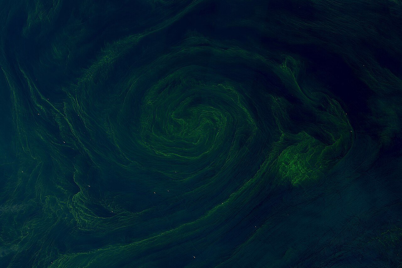 Persian Gulf waterway — free Wikimedia Commons media