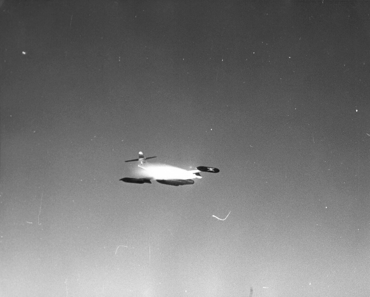 Plumbbob John 002 — free Wikimedia Commons media