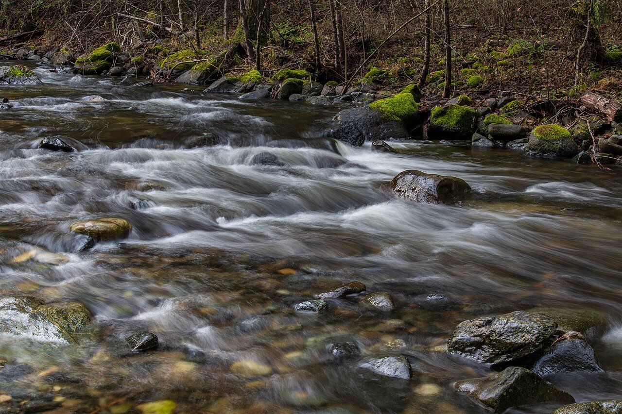 Little Applegate River (50856517803) — free Wikimedia Commons media