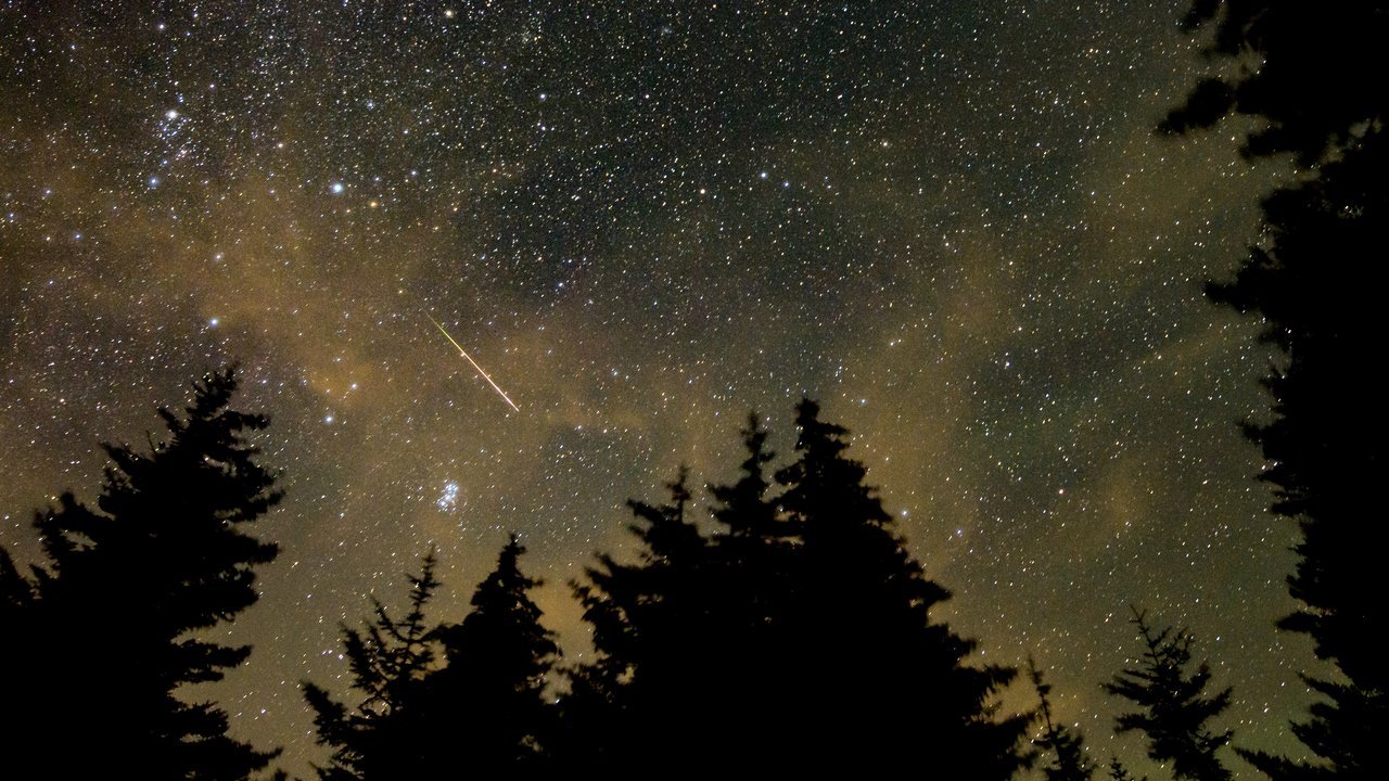 Archival stand-in: a Perseid meteor streaks across a starry night sky above dark silhouetted trees at Spruce Knob, West Virginia, August 11, 2021