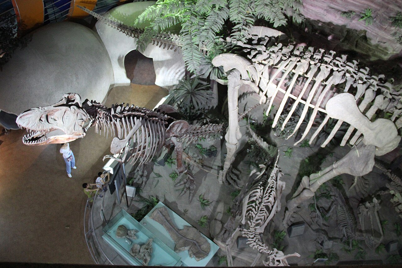 Tyrannosaurus Rex & Huanghetitan ruyangensis — free Wikimedia Commons media