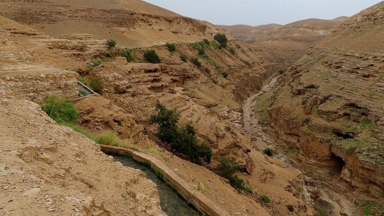 Stand-in: the dry canyon of Wadi Qelt in the West Bank in a January 2020 file photo, not the site of the reported detention